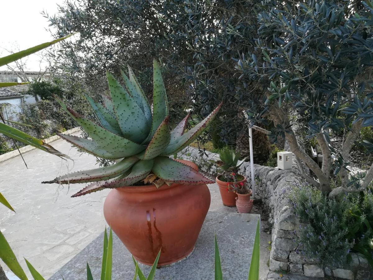 Casa Degli Avi Don Neli, Immersa Nella Natura Modica Luaran gambar
