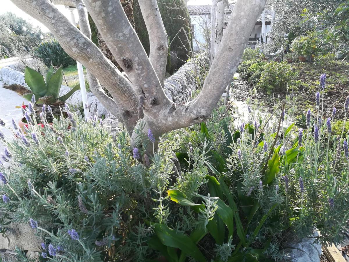 Casa Degli Avi Don Neli, Immersa Nella Natura Modica Luaran gambar