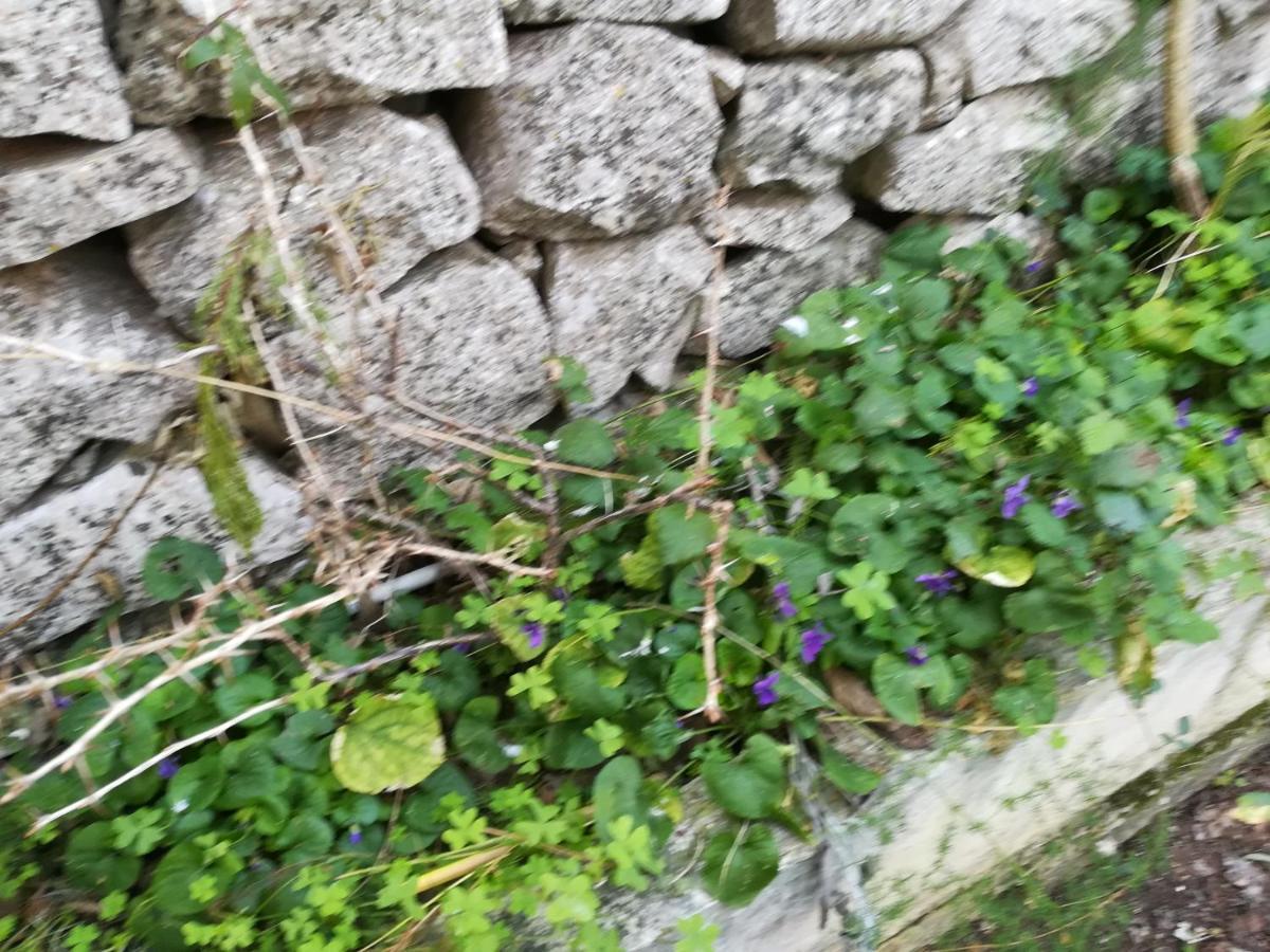 Casa Degli Avi Don Neli, Immersa Nella Natura Modica Luaran gambar